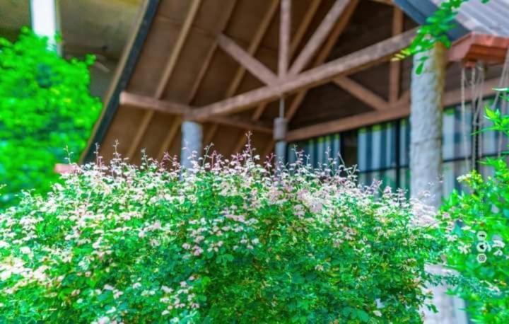 Passi Nature Villas Passikudah Kalkudah  Exteriör bild